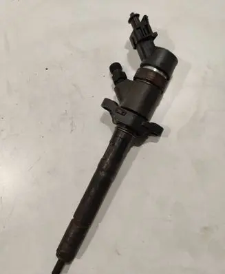 Citroen Berlingo Fuel injector 0445110239