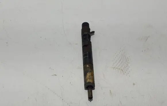 Renault Megane III Fuel injector 8200794299