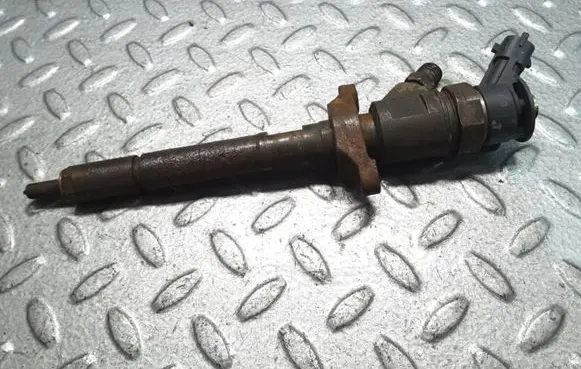 Citroen C4 I Fuel injector 0445110297 620026