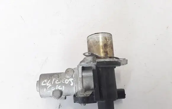 Renault Clio III EGR valve