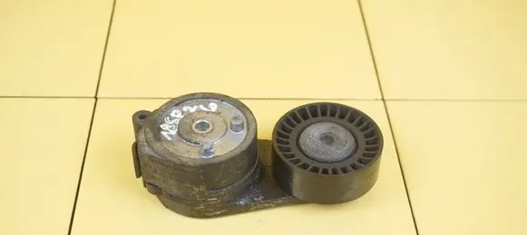 Fiat 500 Power steering belt tensioner 55247430 312A2000