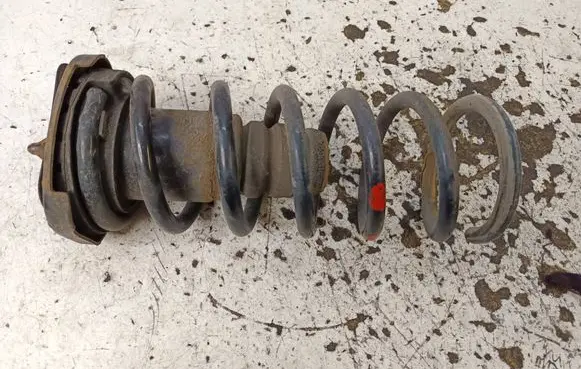 Ford S-MAX Rear coil spring