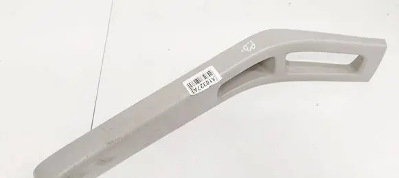 Other front door trim element