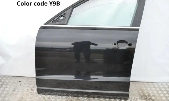 Audi Q5 SQ5 8R Front door Y9B