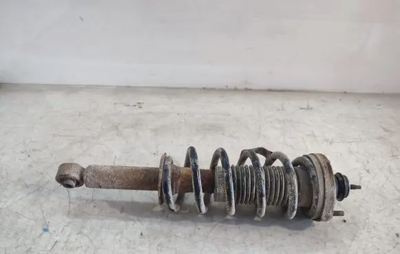 Fiat Freemont Rear shock absorber with coil spring 