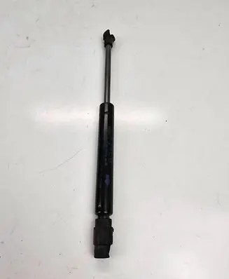 Tailgate strut