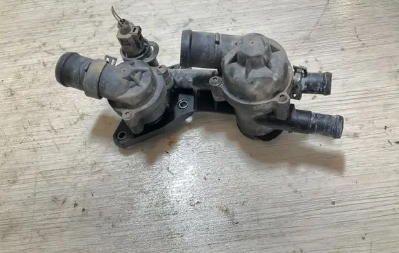 Thermostat/thermostat housing