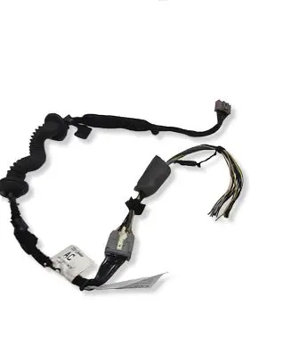 Jaguar XF X250 Loading door wiring loom CX2313A444AC