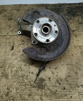 Skoda Yeti (5L) Rear wheel hub 3C0505436G