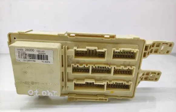 Hyundai Santa Fe Fuse module 919502B200