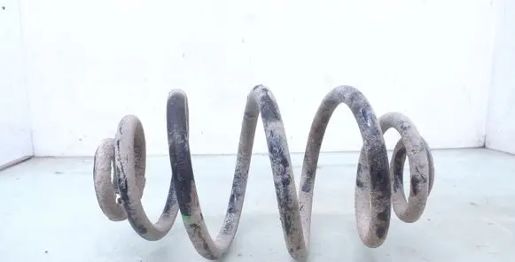 Rear coil spring