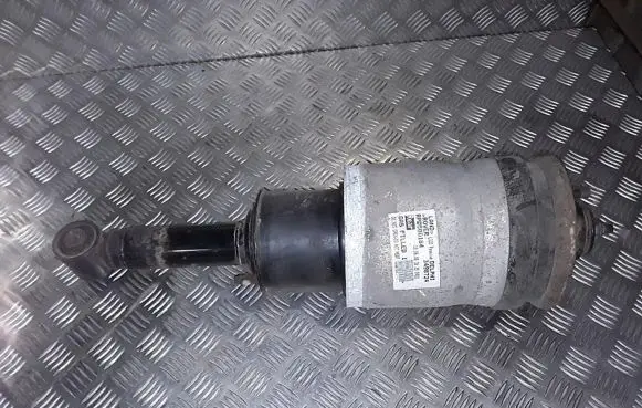 Land Rover Range Rover Sport L320 Rear shock absorber/damper RPD500184
