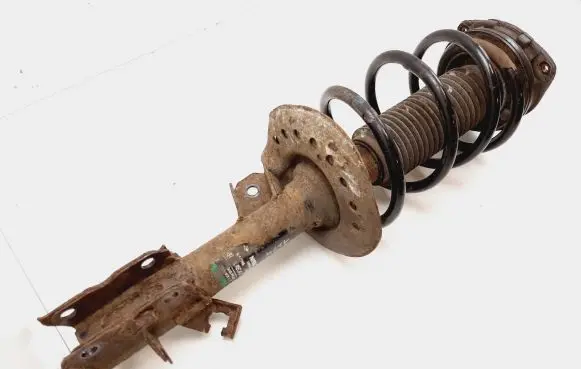 Nissan Qashqai Front shock absorber/damper 54302JD01A 824903002933