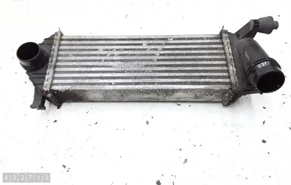 Renault Kangoo II Intercooler radiator 144963234r y5665004