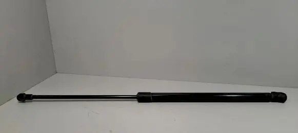 Tailgate strut