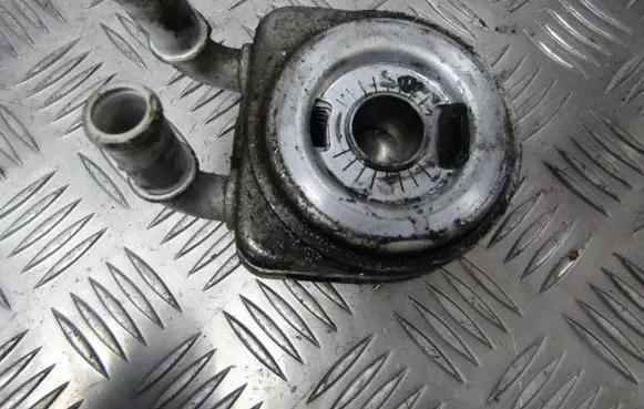Peugeot 206 Engine oil radiator 9637842280