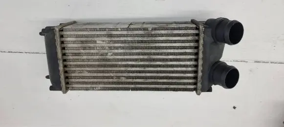 Citroen C4 Grand Picasso Intercooler radiator 876923J