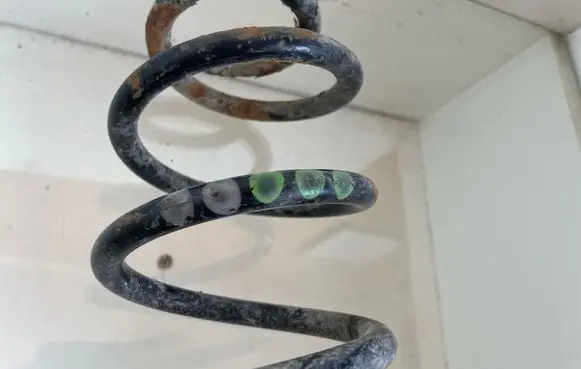 Rear coil spring