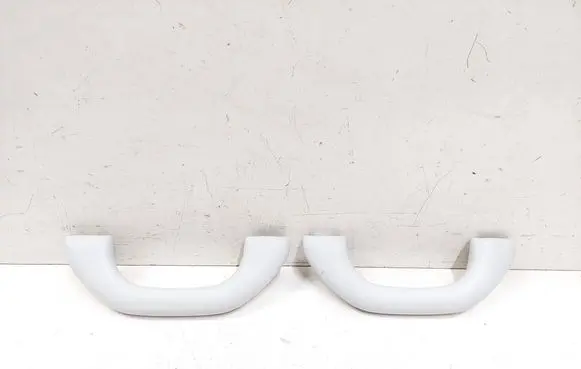 Front interior roof grab handle
