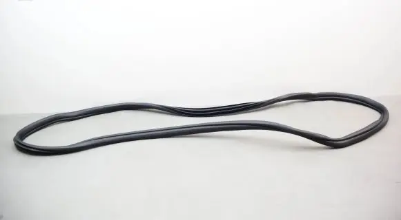 BMW 1 F40 Front door rubber seal 