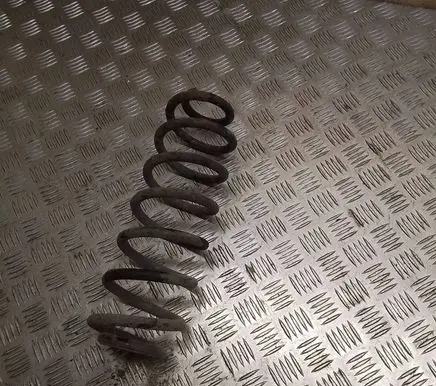 Volkswagen PASSAT B6 Rear coil spring