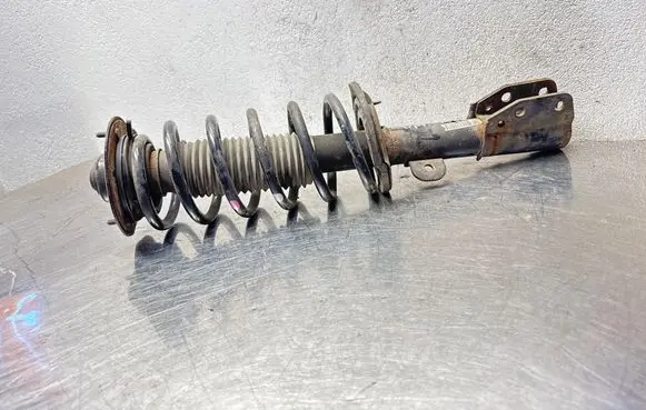 Opel Antara Front shock absorber with coil spring 7451286 96626304