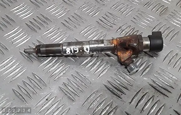 Dacia Duster Fuel injector H8200704191 166008052R