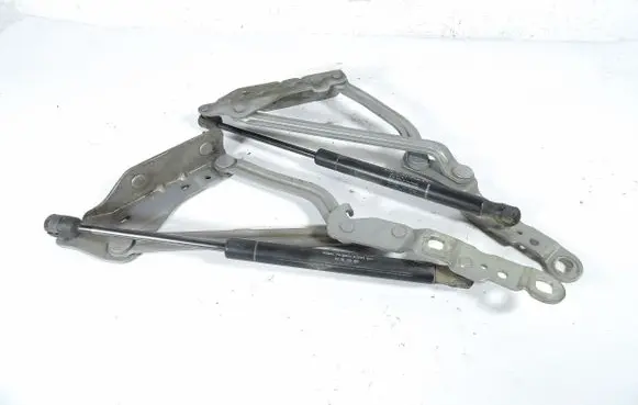Renault Megane II Tailgate/trunk/boot hinge