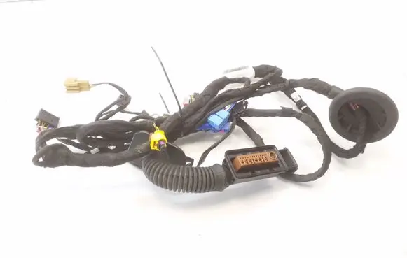 Audi e-tron Front door wiring loom 4KE971029FR