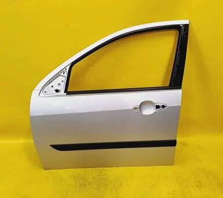 Ford Focus Front door 