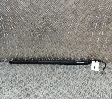 Ford Puma Tailgate/trunk strut/damper L1TBS404C84AA