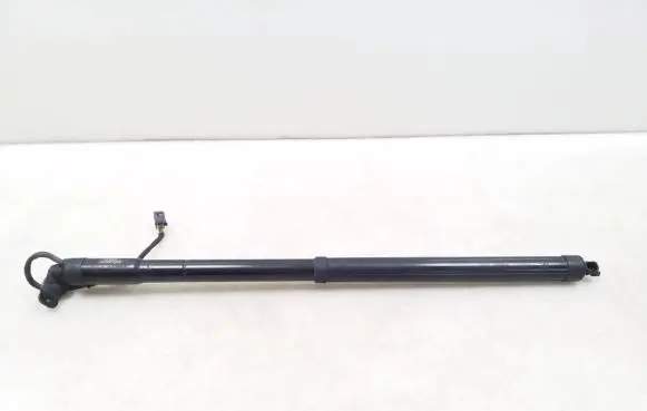 Tailgate strut