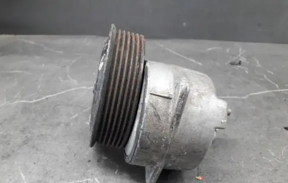 Ford Fiesta Timing belt tensioner 96mf-6a228-ac