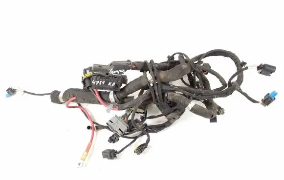 Infiniti Q30 Other wiring loom
