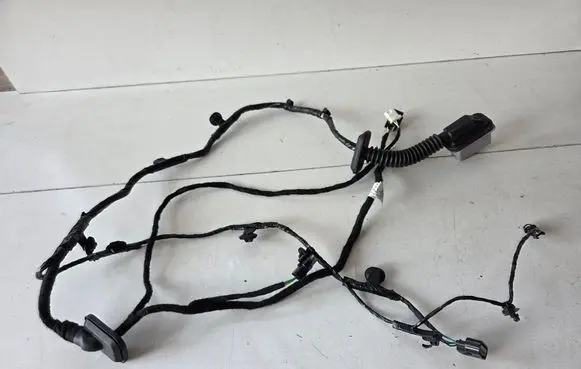 MG MG4 ev Front door wiring loom 11666285