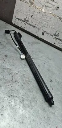 Renault Koleos II Tailgate/trunk strut/damper 904520316R