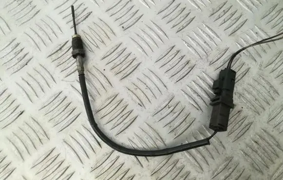 Citroen C4 I Exhaust gas temperature sensor 9651618180