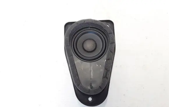 Front door high frequency speaker