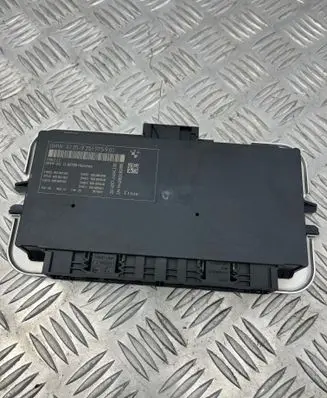 BMW 5 F10 F11 Light module LCM 9251975 005002003