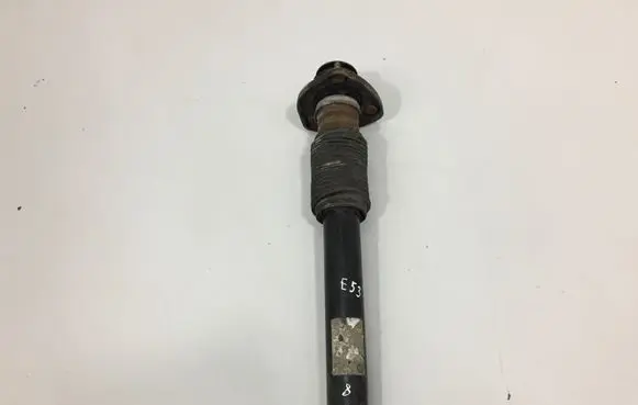 BMW X5 E53 Rear shock absorber/damper 6751543