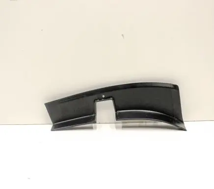 Rear/tail light trim molding