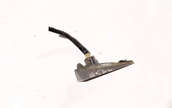 Front fender indicator light
