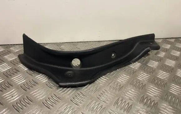 Rear/tail light trim molding
