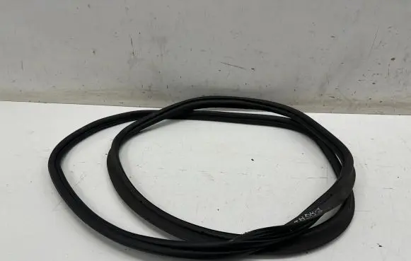 Trunk rubber seal (body)