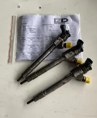 Renault Trafic III (X82) Fuel injector 0445110955