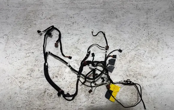 BMW 5 G30 G31 G38 Rear door wiring loom 111078 7387756 7387753