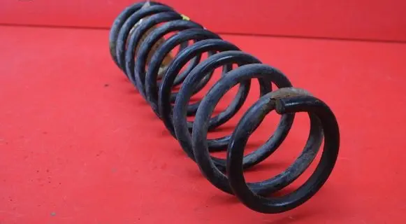 Mitsubishi Lancer VIII Rear coil spring