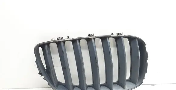 BMW X5 E53 Front bumper upper radiator grill 7124816 51137124816