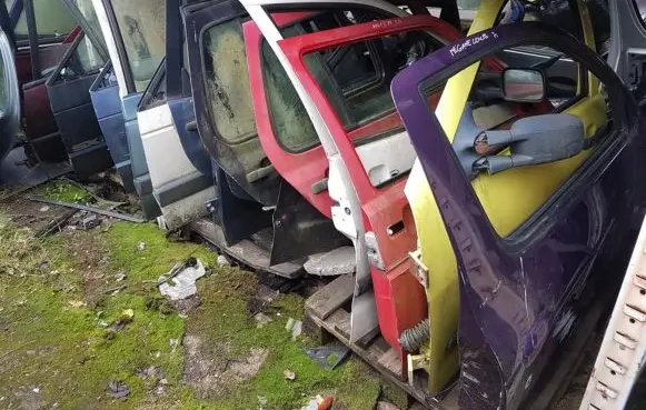 Renault Megane I Front door violetines