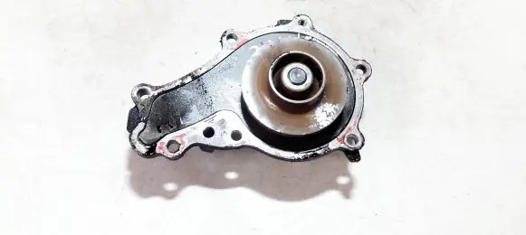 Peugeot 307 Water pump 26739300